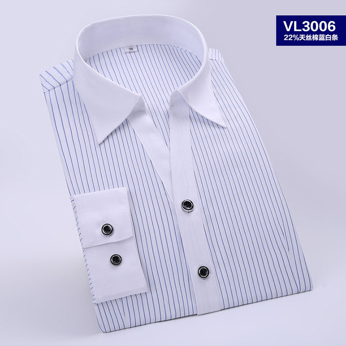 VL306.jpg