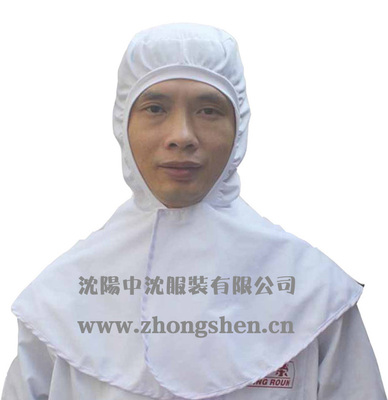 食品衛(wèi)生藥品行業(yè)防護(hù)帽 工作帽 安全帽 防塵隔離帽